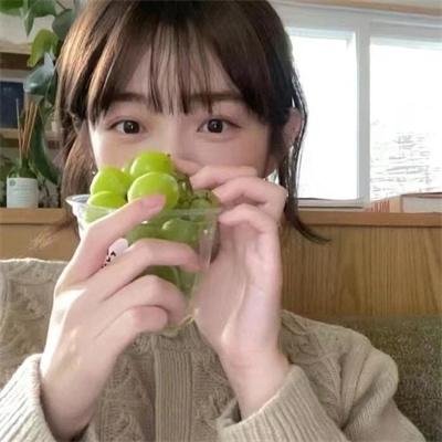 蝴蝶粤语